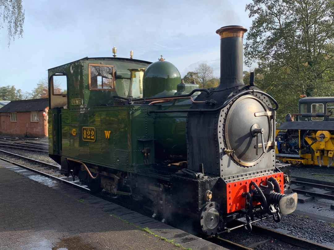Welshpool and Llanfair Light Railway-Welshpool必去景点