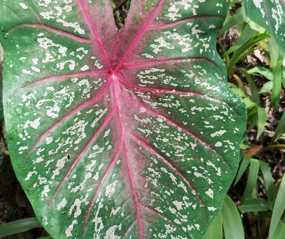 Parque Ecobiológico Maripoxa-奥克萨潘帕必去景点