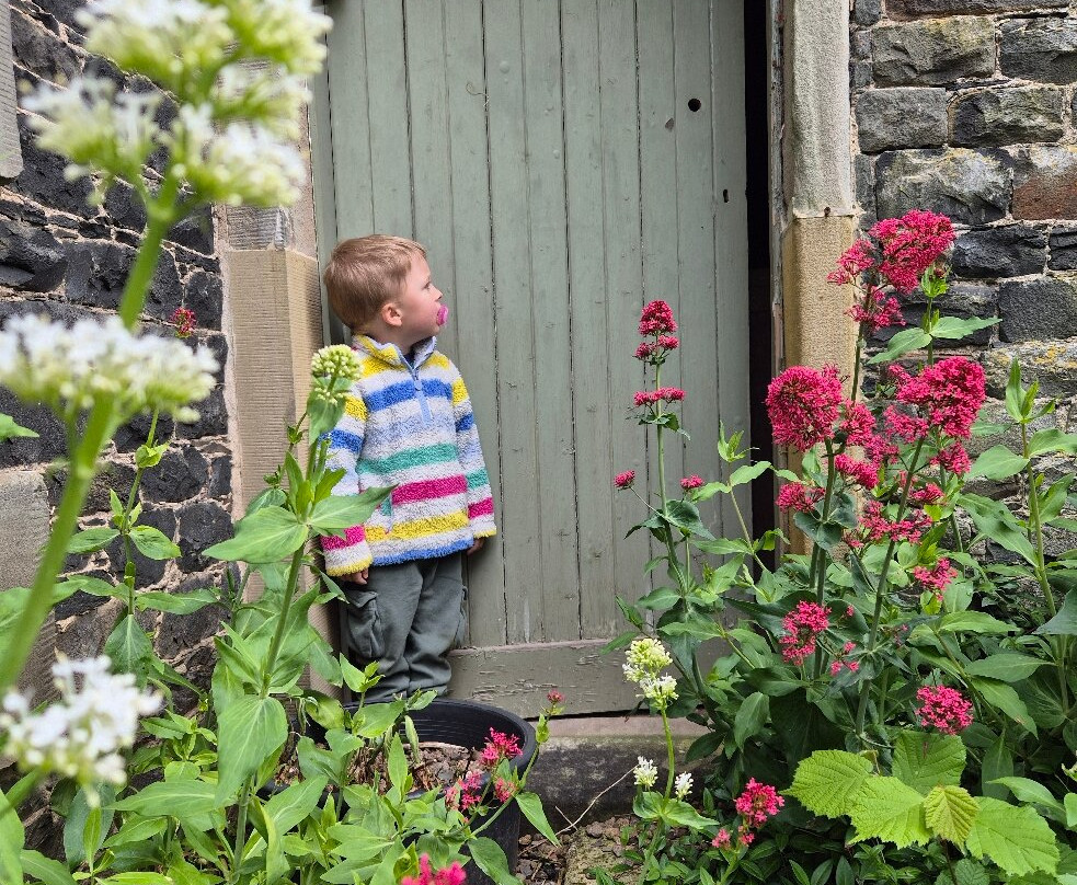 Harmony Garden-Melrose必去景点