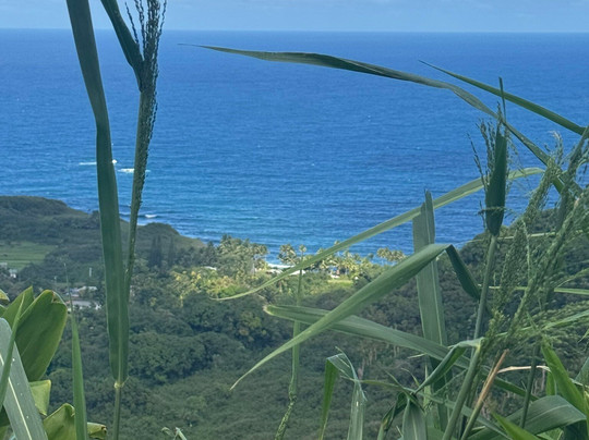 Hana Tours of Maui-毛伊岛必去景点