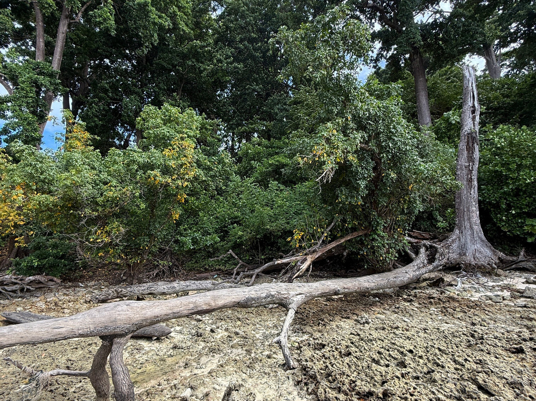 Andaman Travelcare-布莱尔港必去景点