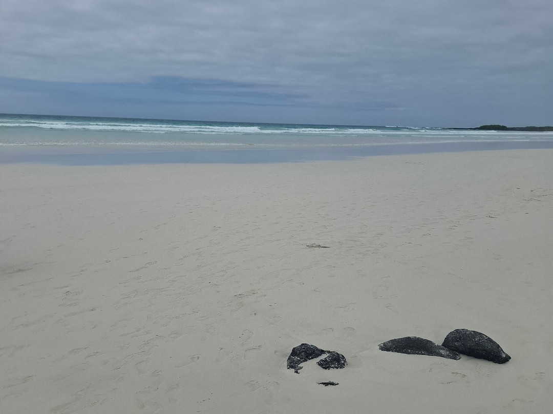 Smart Galapagos-阿约拉港必去景点