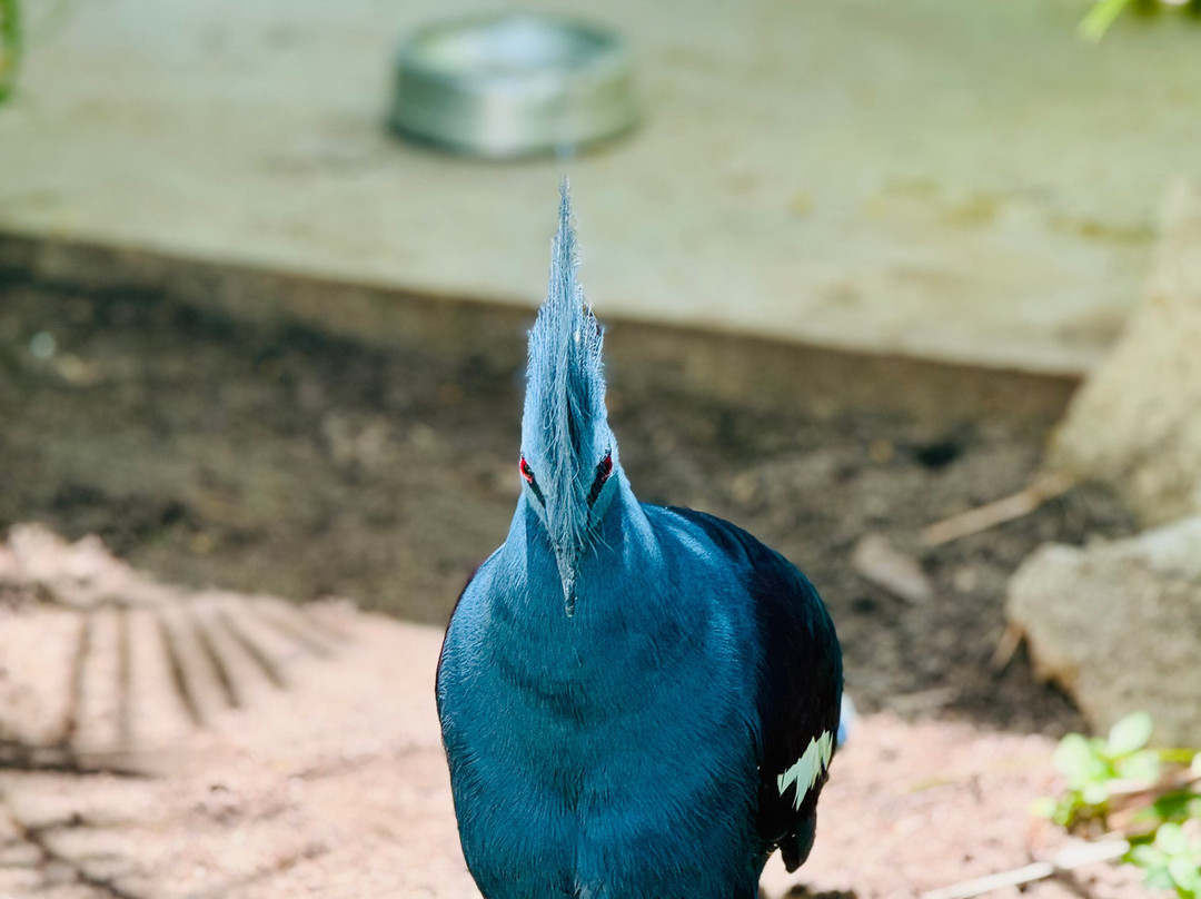 Parque Arvorar-Aquiraz必去景点