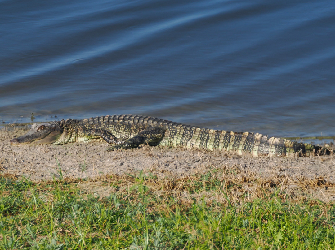 King Ranch Visitor Center-Kingsville必去景点