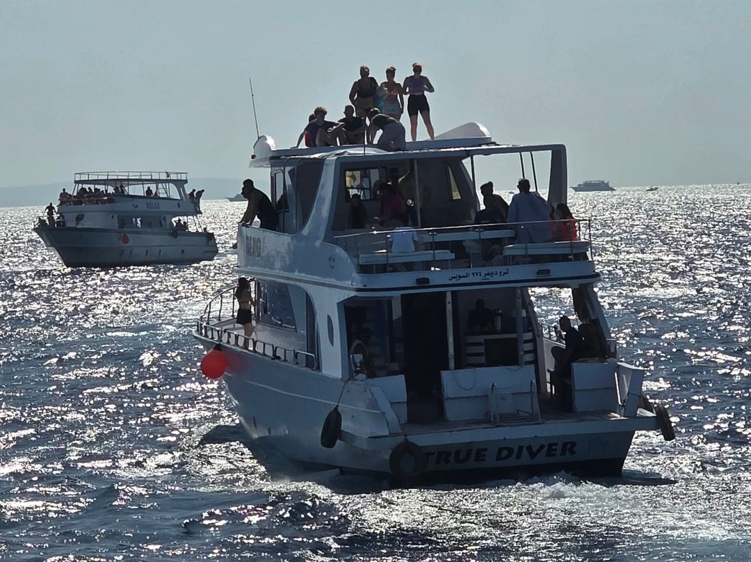 Hurghada Taxi Transfers-赫尔格达必去景点