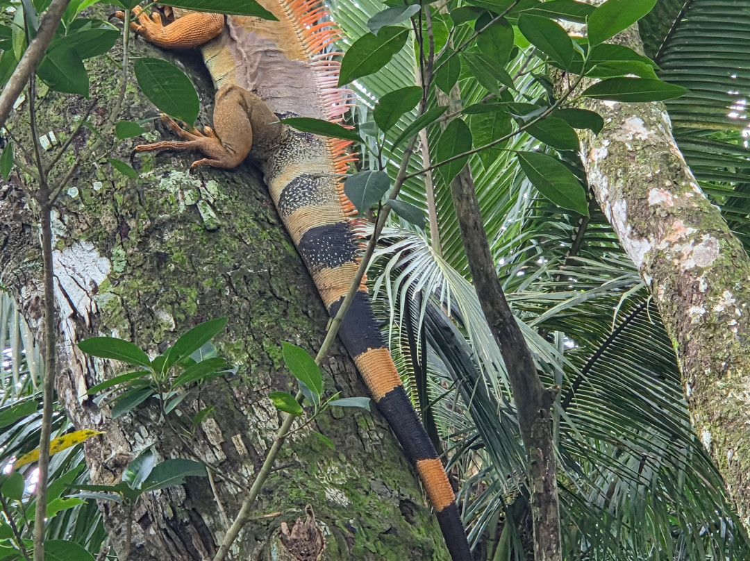 Matt's Fishing & Tours-萨迪纳尔必去景点