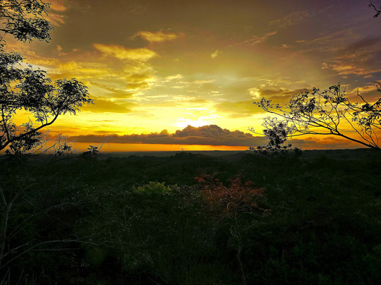 Guayabo Animal Rescue-Guayabo必去景点