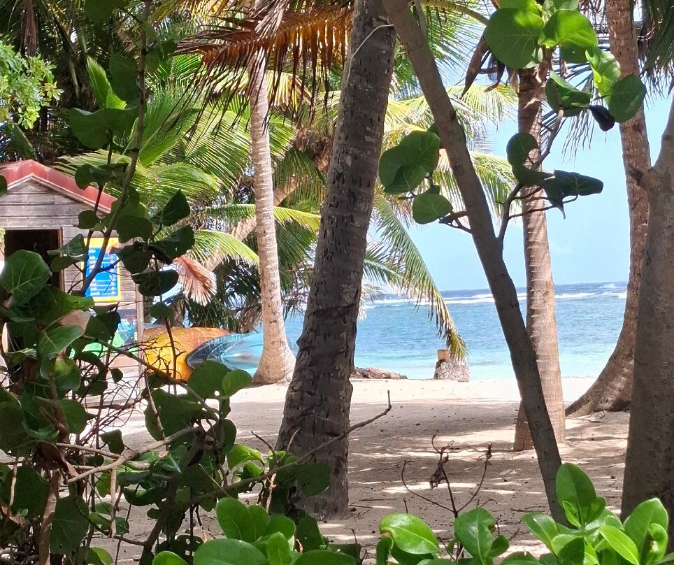 Anse Michel-Sainte-Anne必去景点