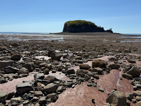 Tide Rollers & Mudlarkers-Parrsboro必去景点