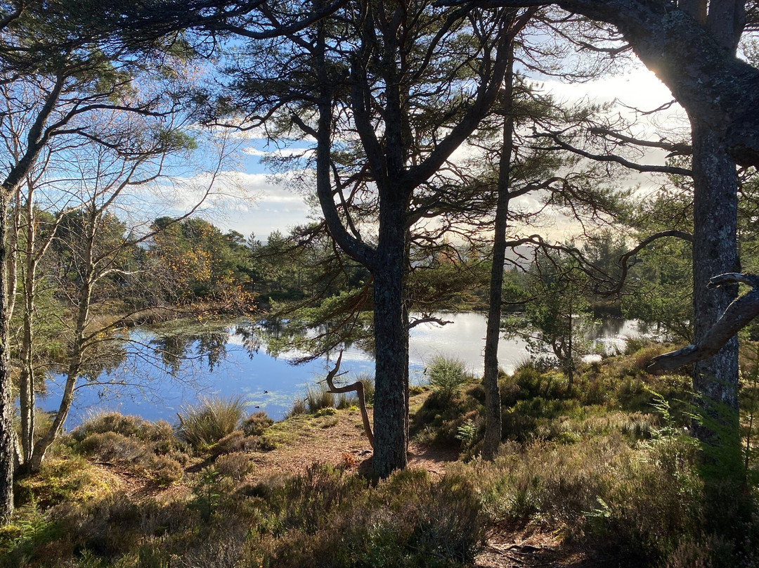 Fyrish Monument-Evanton必去景点