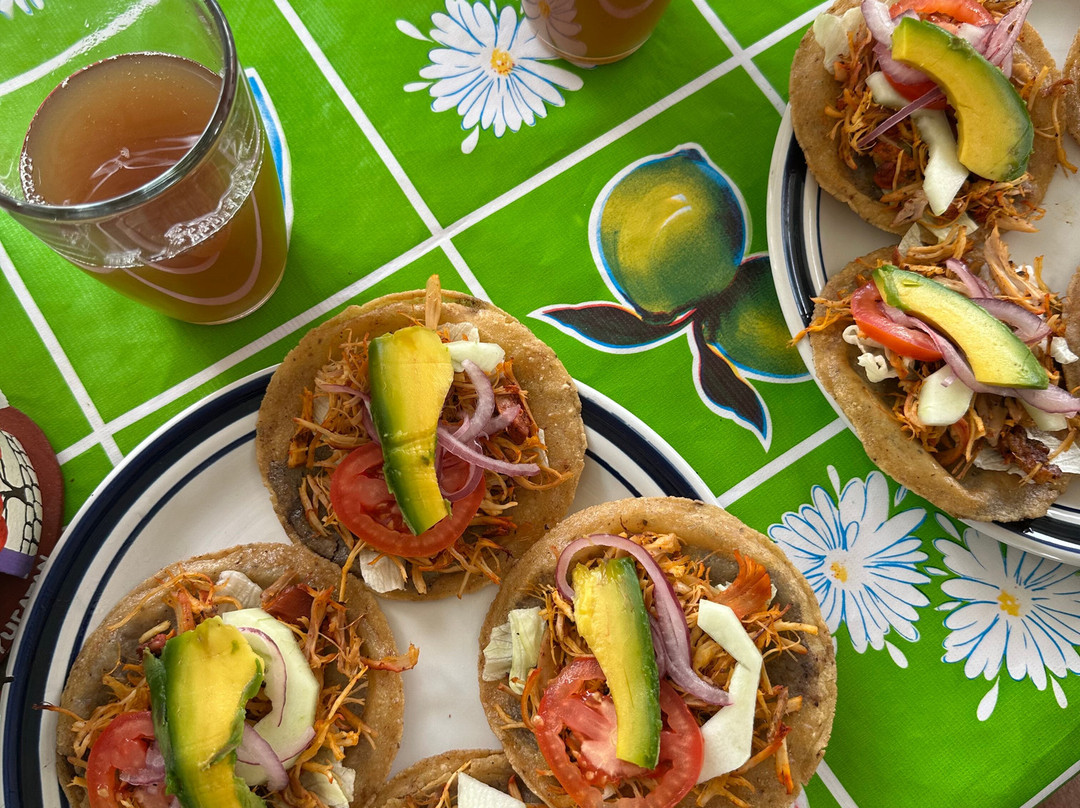 Yucatan Cenote Eco-Aventuras-Progreso必去景点