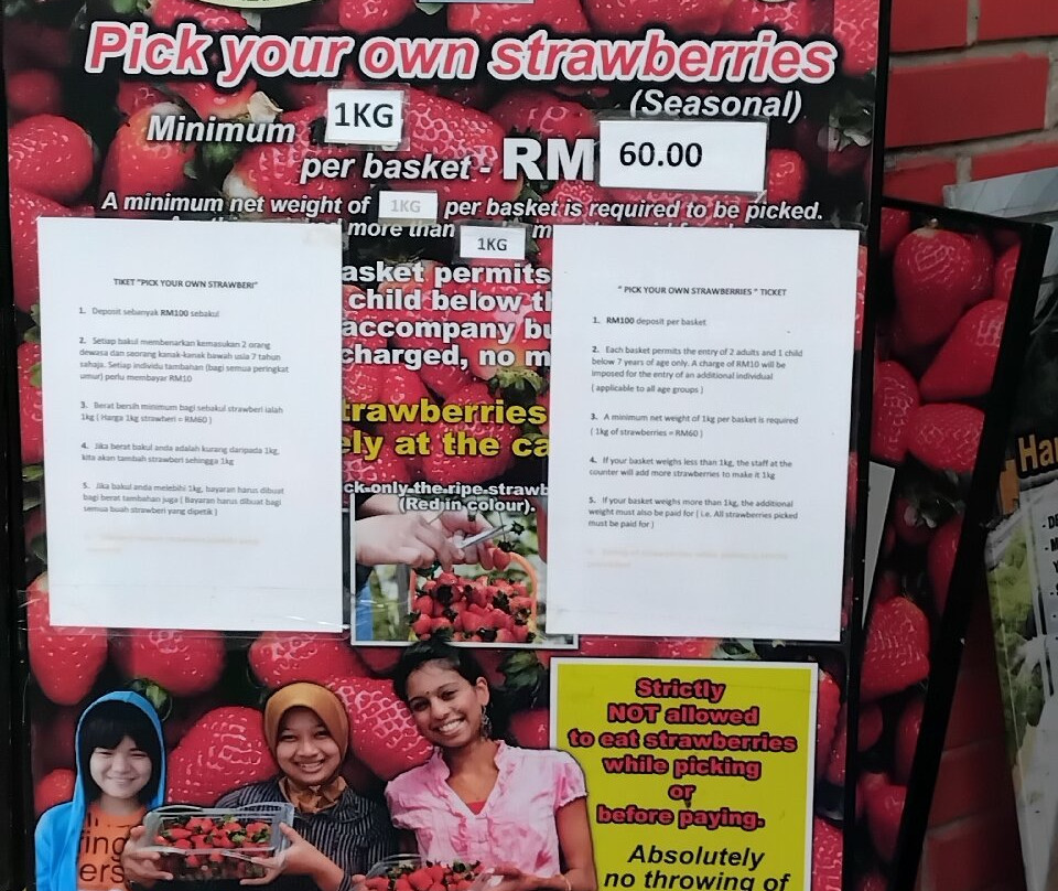 Big Red Strawberry Farm-碧兰璋必去景点