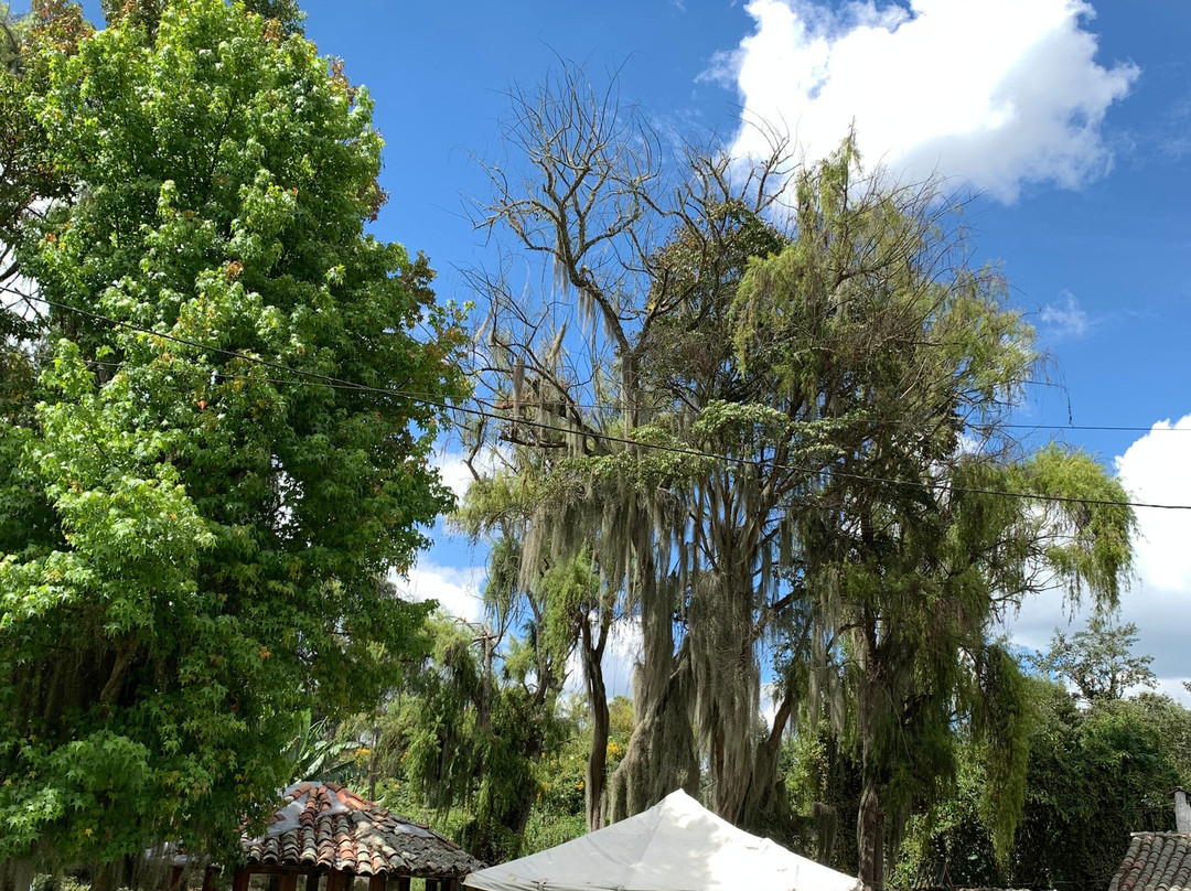 Pueblito de Yerbabuena主图