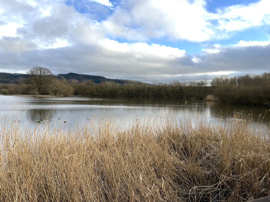 LLyn Coed y Dinas-Welshpool必去景点