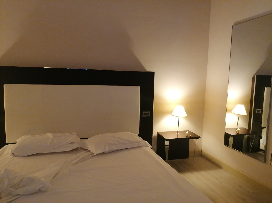 Province of Cremona酒店住宿-克雷莫纳皇宫酒店