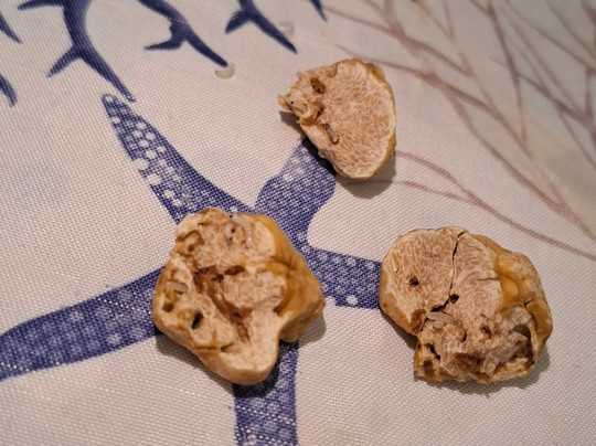 Tartufi Ponzio-阿尔巴必去景点