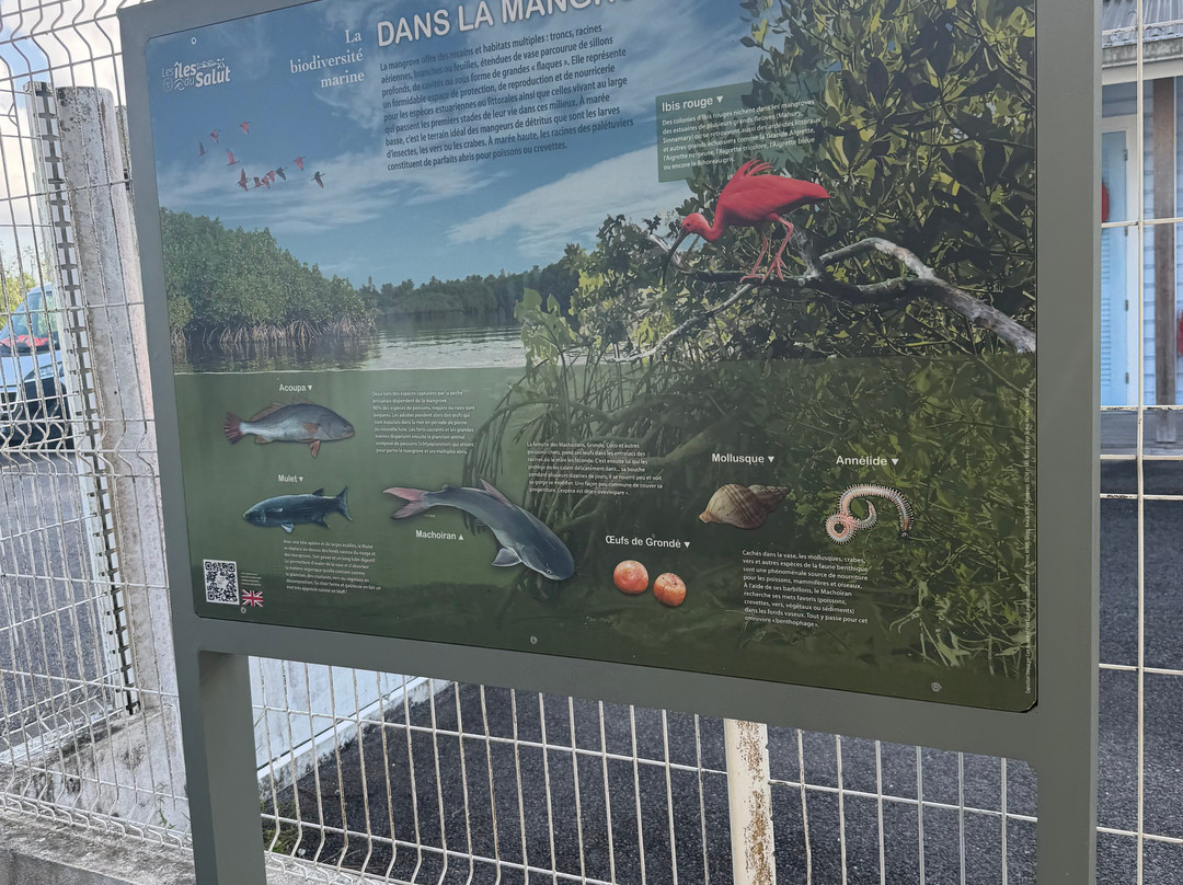 Exciting Tours-帕拉马里博必去景点