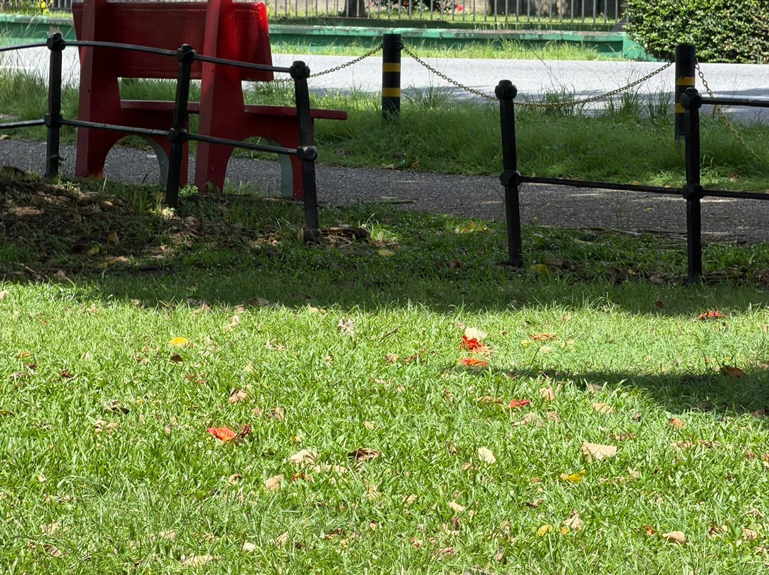 萨瓦纳女王公园-西班牙港必去景点