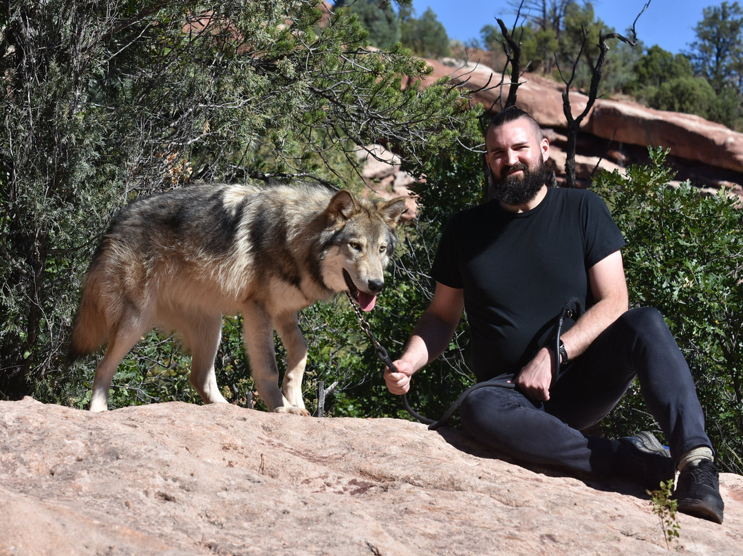 Colorado Wolf Adventures-Woodland Park必去景点
