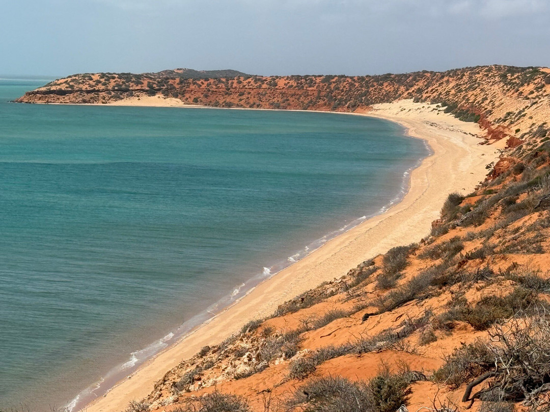 Shark Bay Coastal Tours-德纳姆必去景点