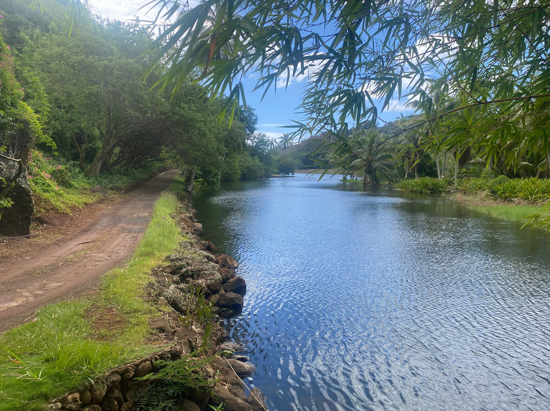 McBryde Garden - National Tropical Botanical Garden-可爱岛必去景点