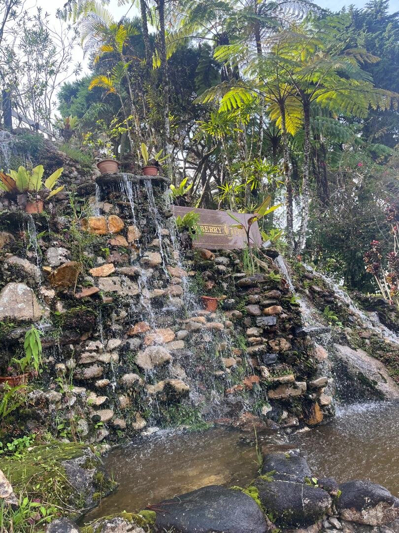 草莓园度假酒店-浴室