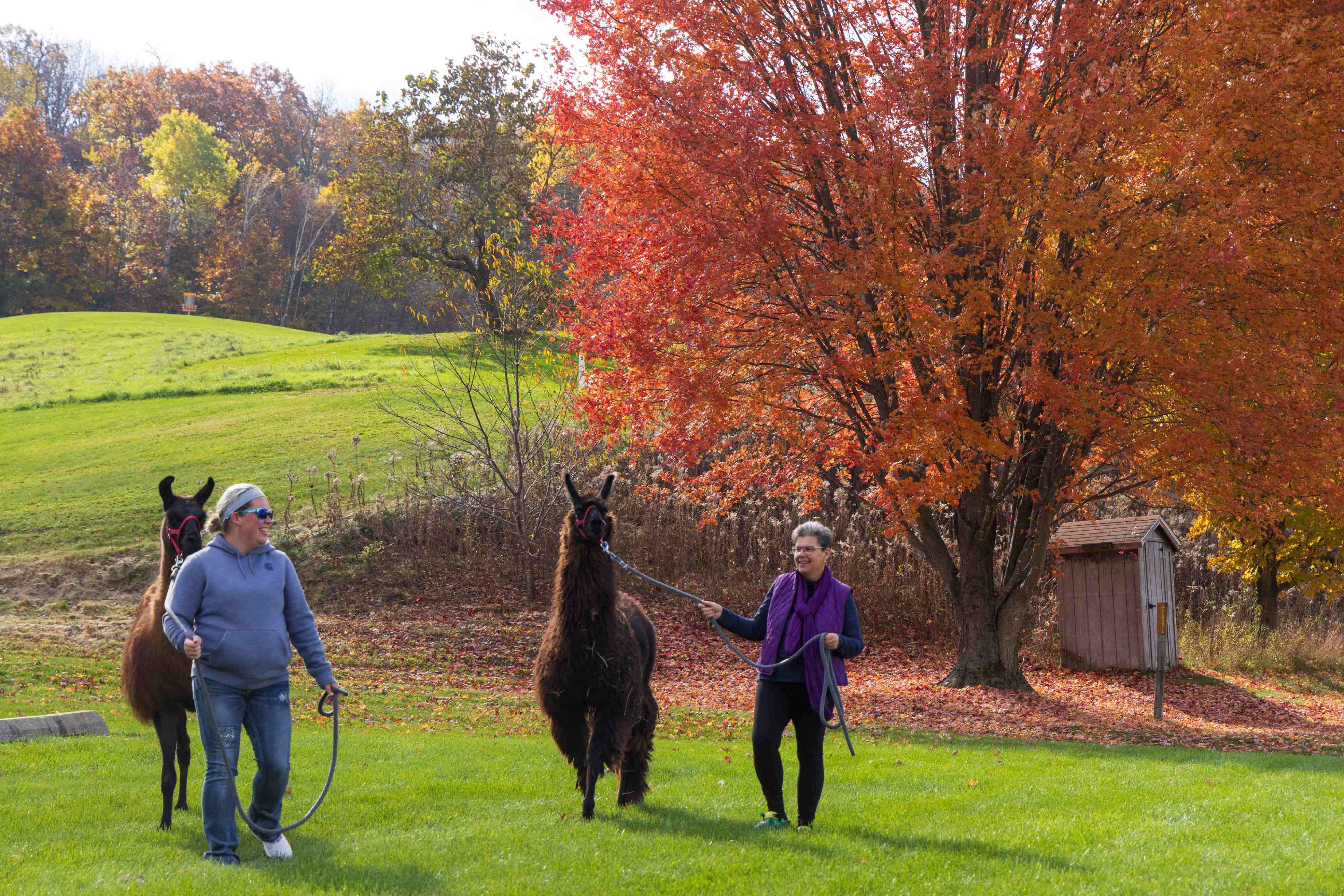 Justin Trails Resort, LLC-浴室