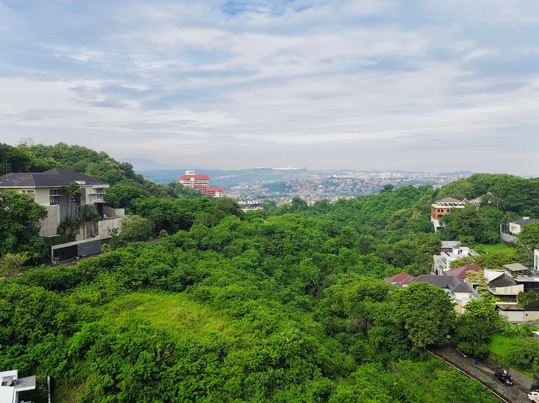 Oak Tree Emerald Hotel & Conventions Semarang主图