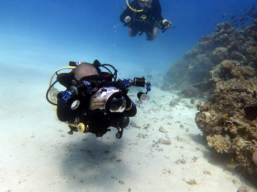 SunGo Tours-Hurghada 1必去景点