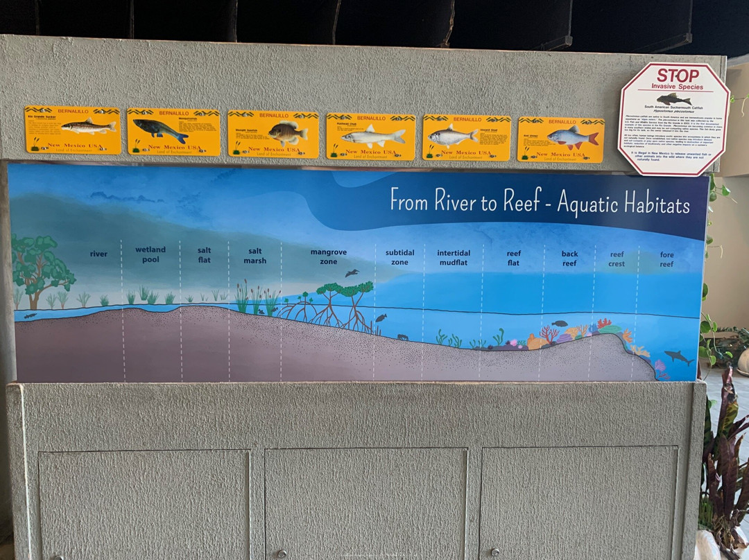 ABQ BioPark Aquarium-阿尔伯克基必去景点