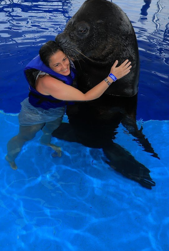 Vallarta Adventures Dolphin Center