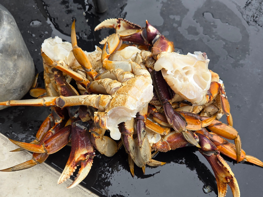 The Bites On Fishing Charters-凯奇坎必去景点