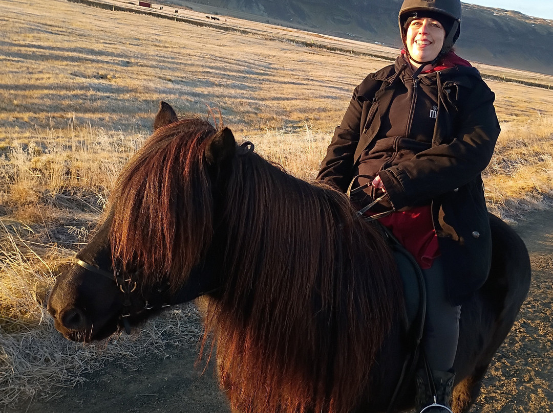 Eldhestar Volcano Horses-Olfus必去景点