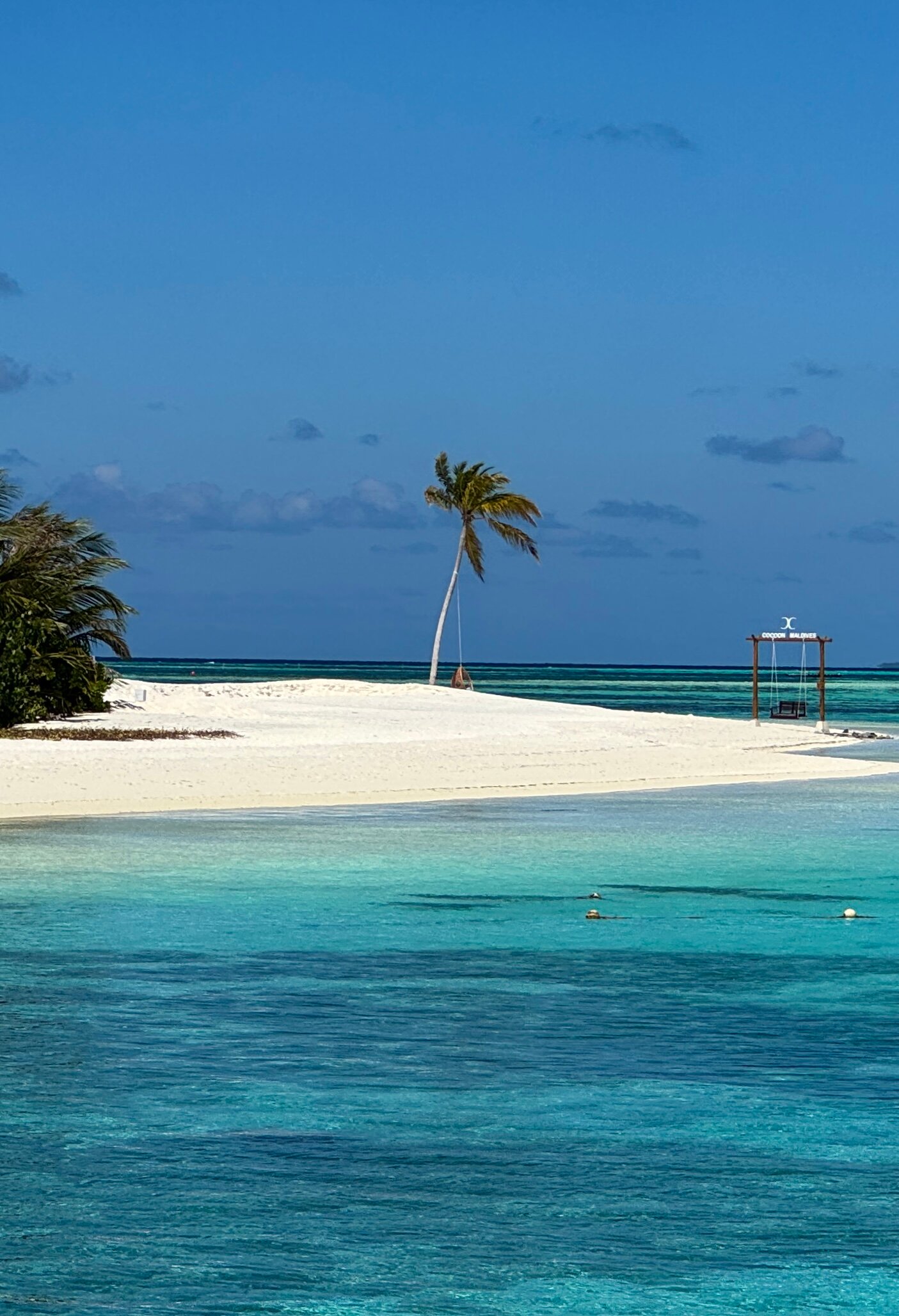 马尔代夫可可尼度假村-泳池