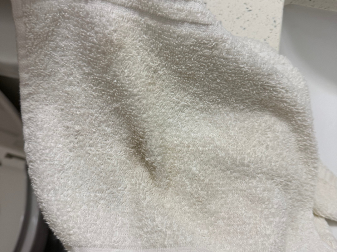 Microtel Inn & Suites by Wyndham Tifton主图