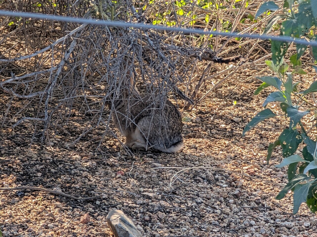 Pinnacle Peak Park-斯科茨代尔必去景点
