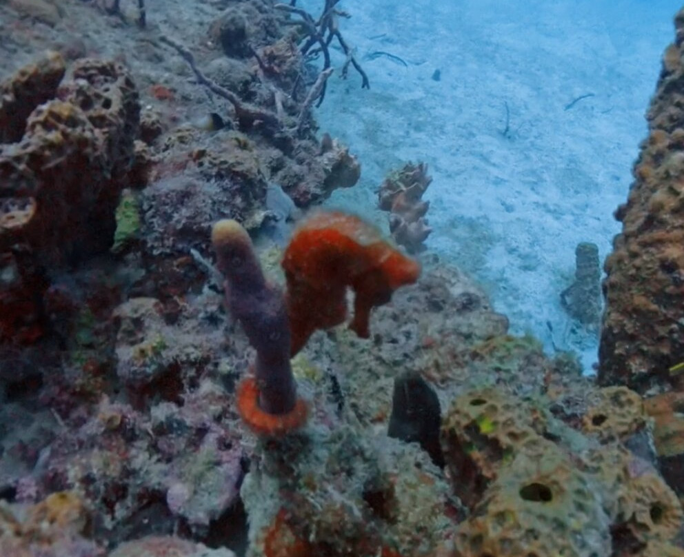 Seaduced Luxury Charters-Sunset Crest必去景点