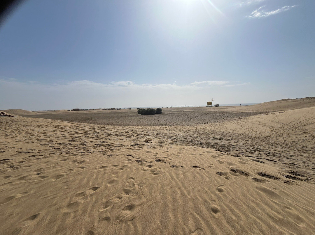 马斯帕洛马斯海滩-马斯帕洛马斯必去景点