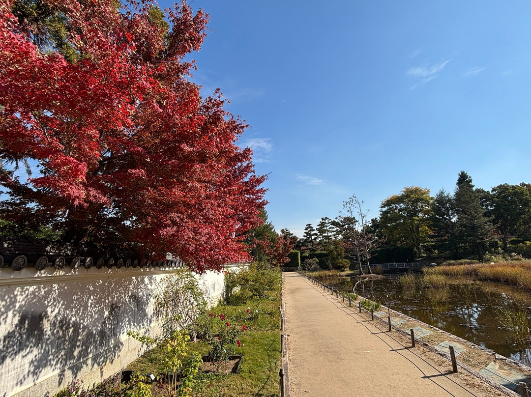 Hamadera Park-坂井市必去景点
