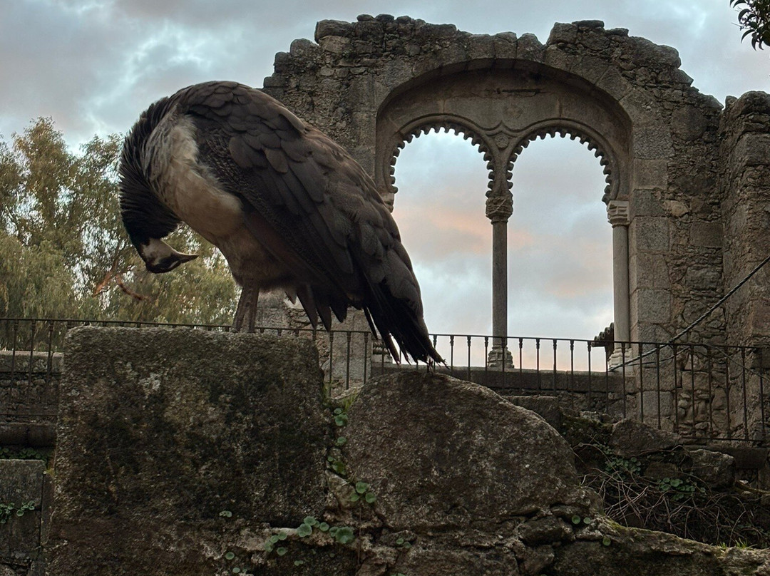 Ruínas Fingidas-埃武拉必去景点