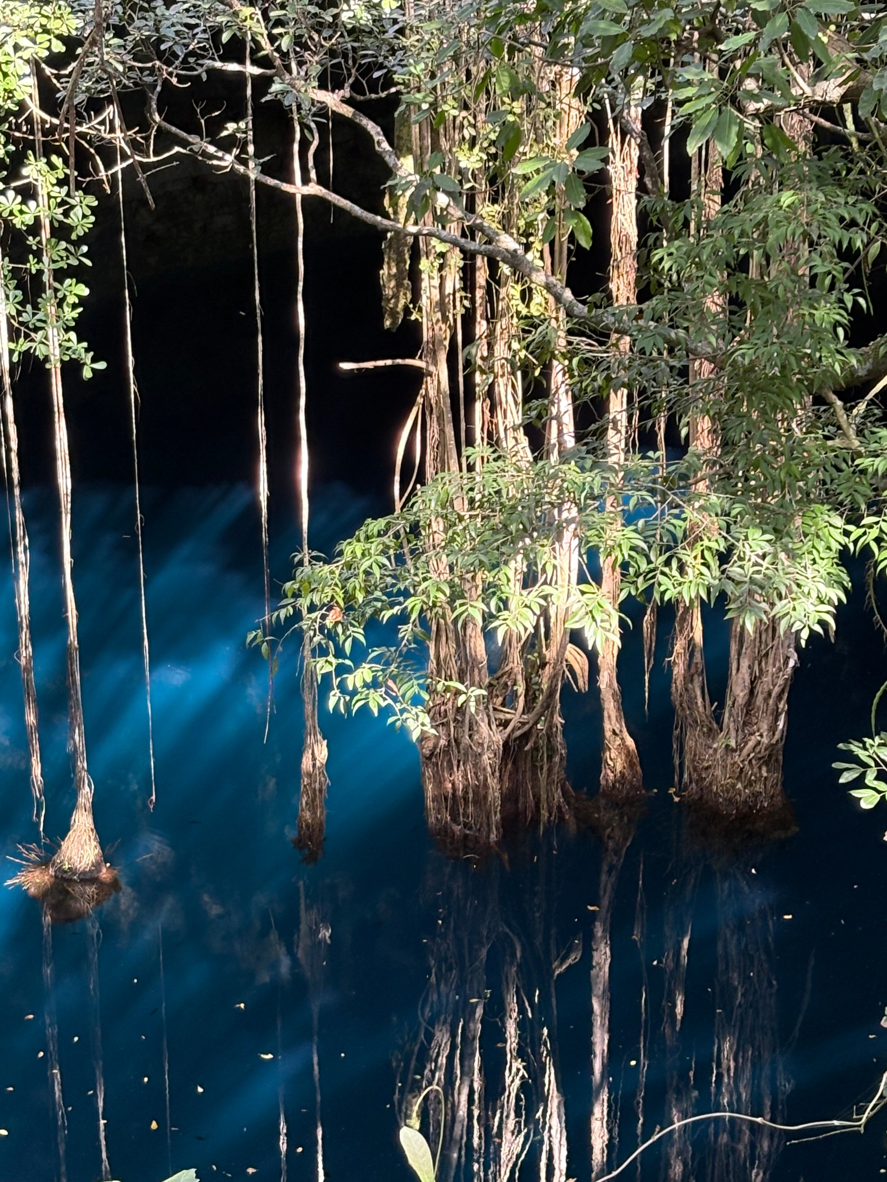 Hotel Posada San Juan-官方