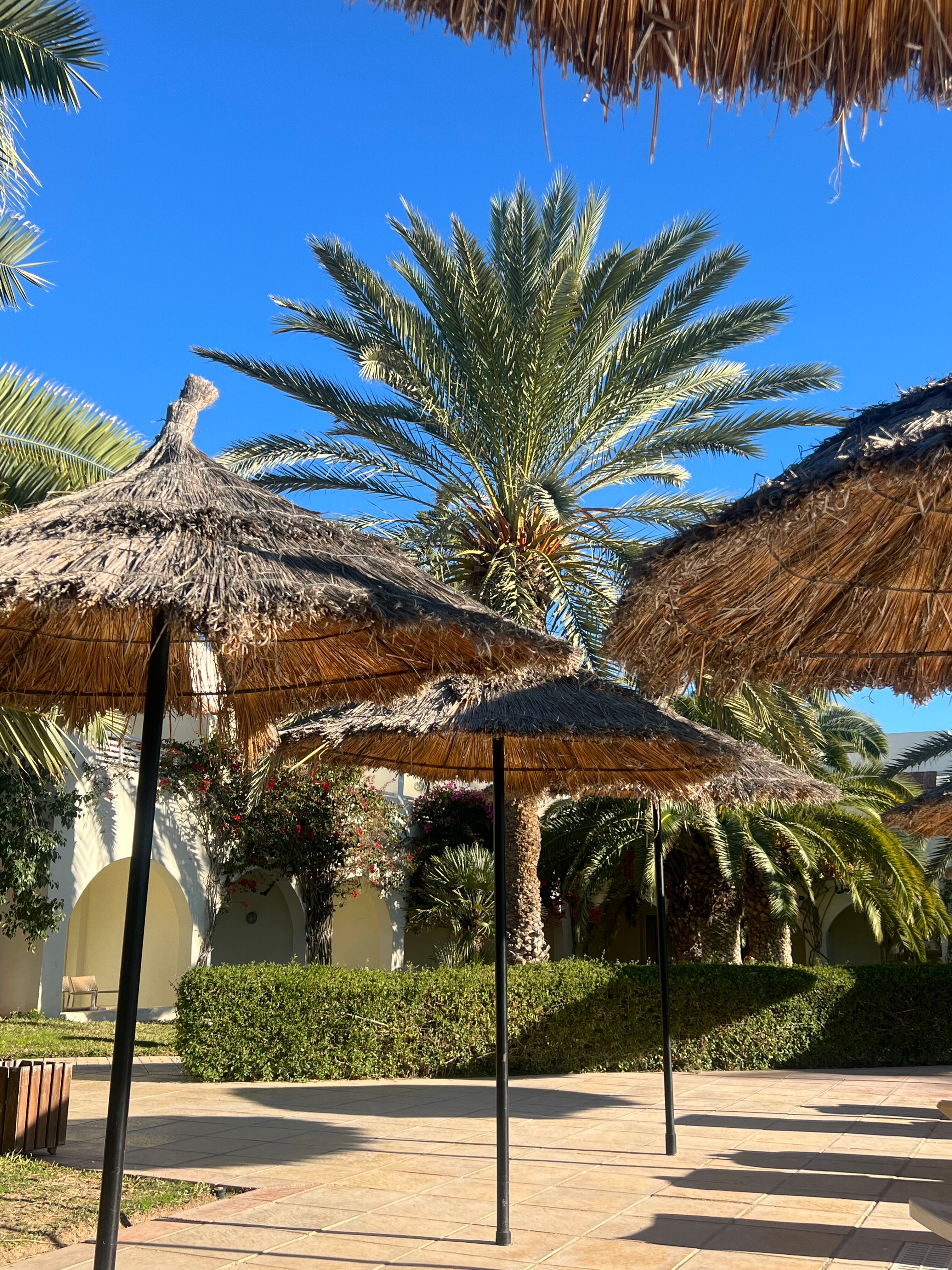 TUI MAGIC LIFE Penelope Beach-官方