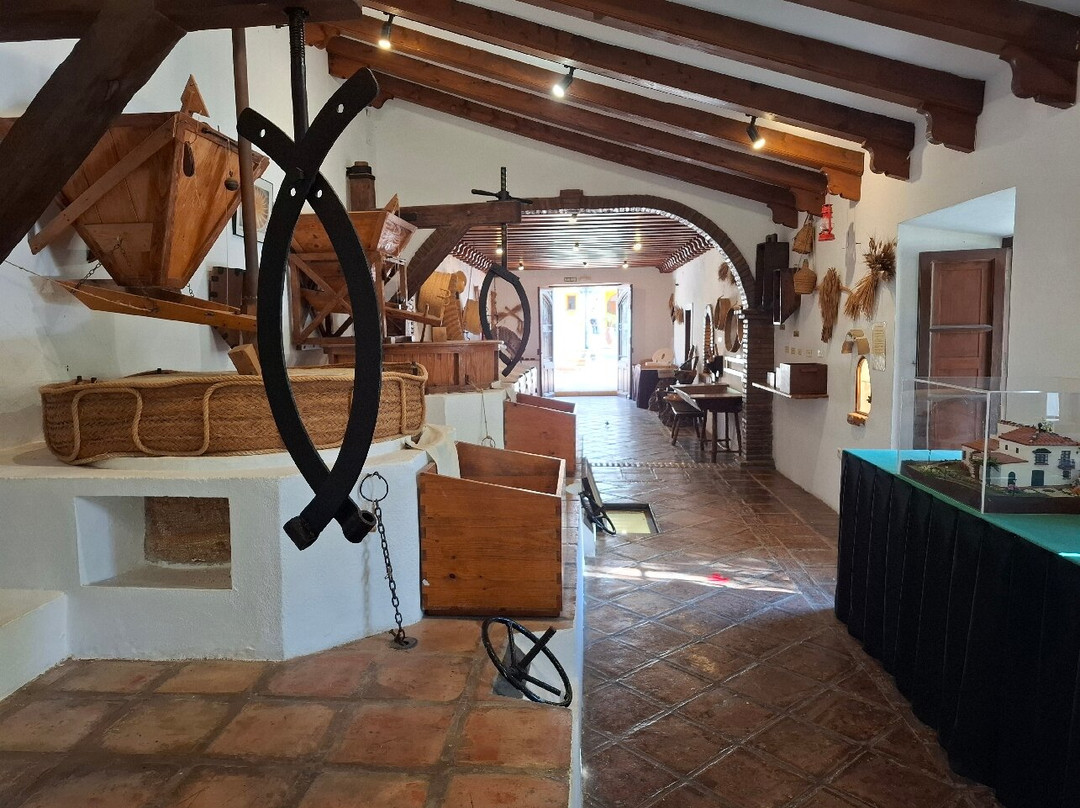 Jardin Botanico Molino de Inca-托雷莫里诺斯必去景点