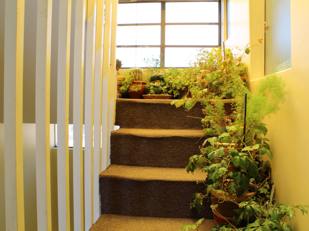 Kaaro Hotel Puno主图