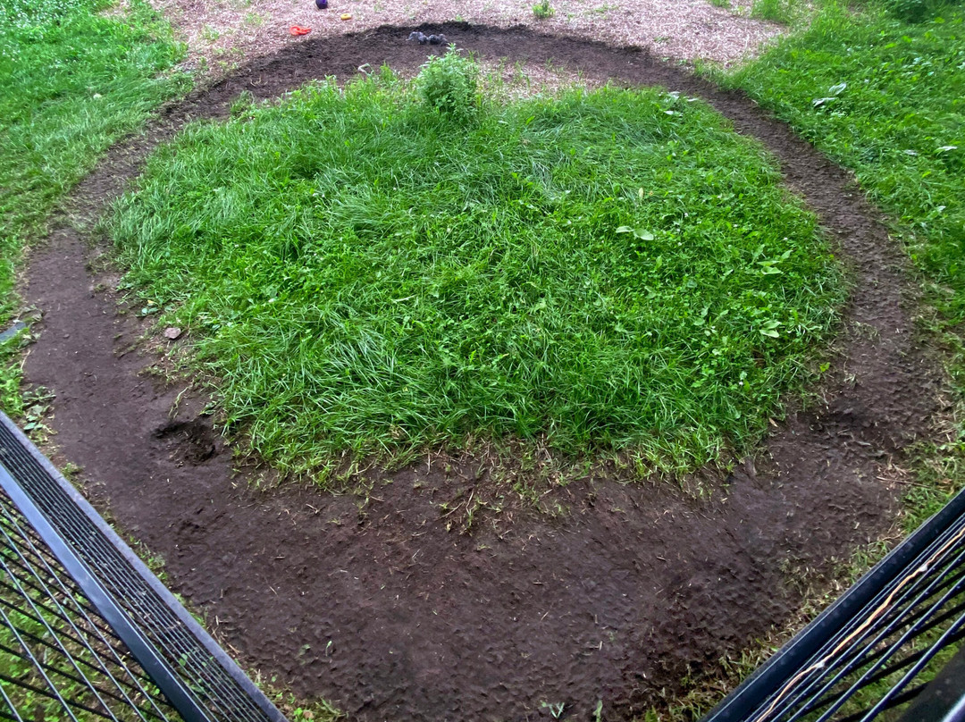 Windrift Kennel-奥里利亚必去景点