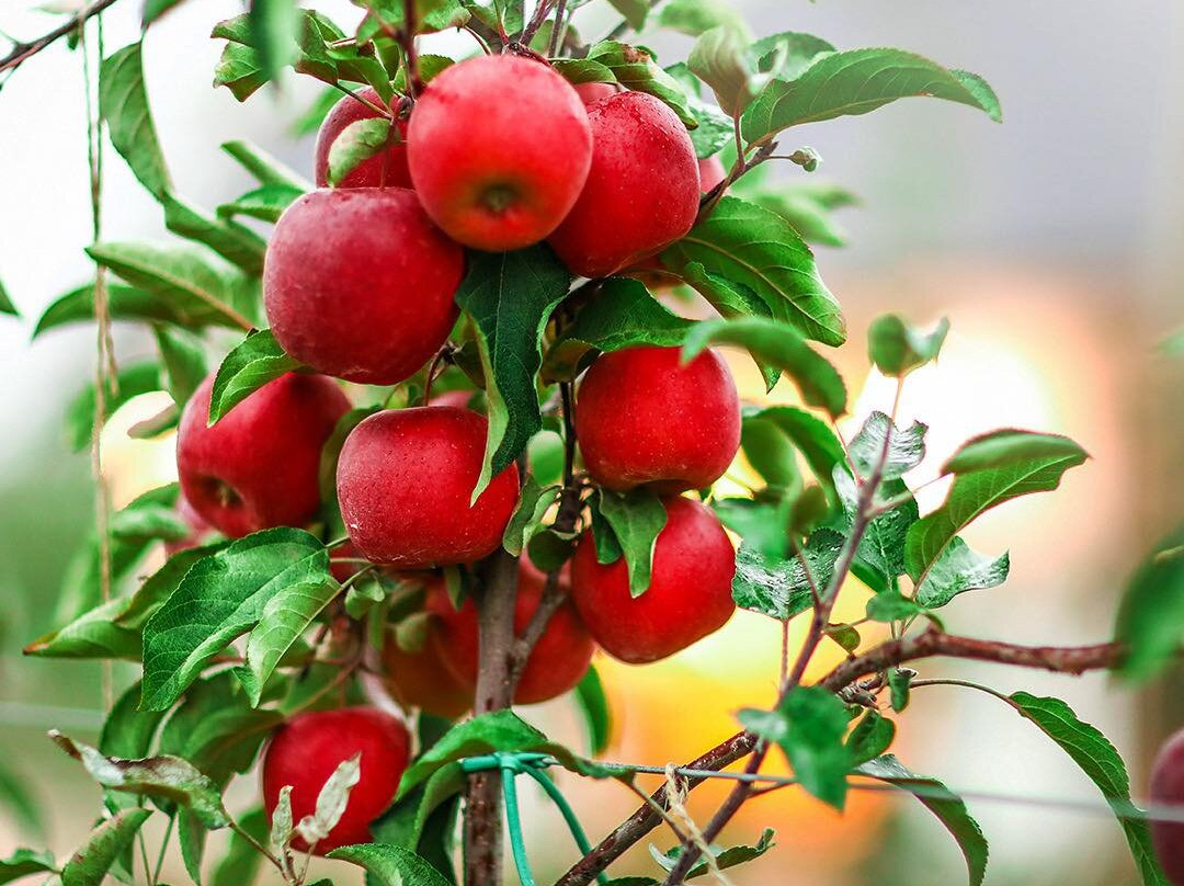 Kend Inn-Quba必去景点