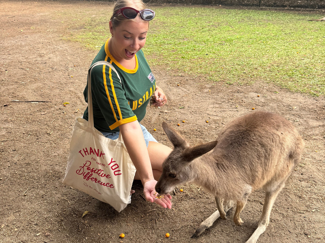 Ultimate Travel-悉尼必去景点