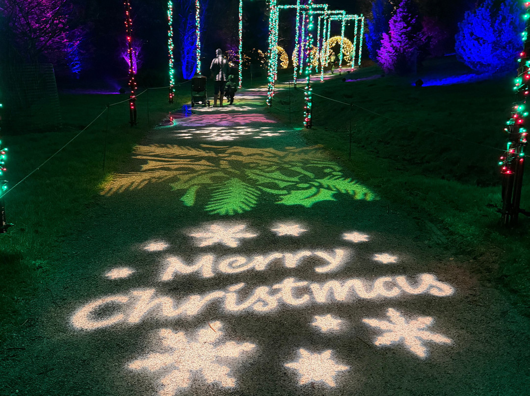 Bedgebury National Pinetum And Forest-Goudhurst必去景点