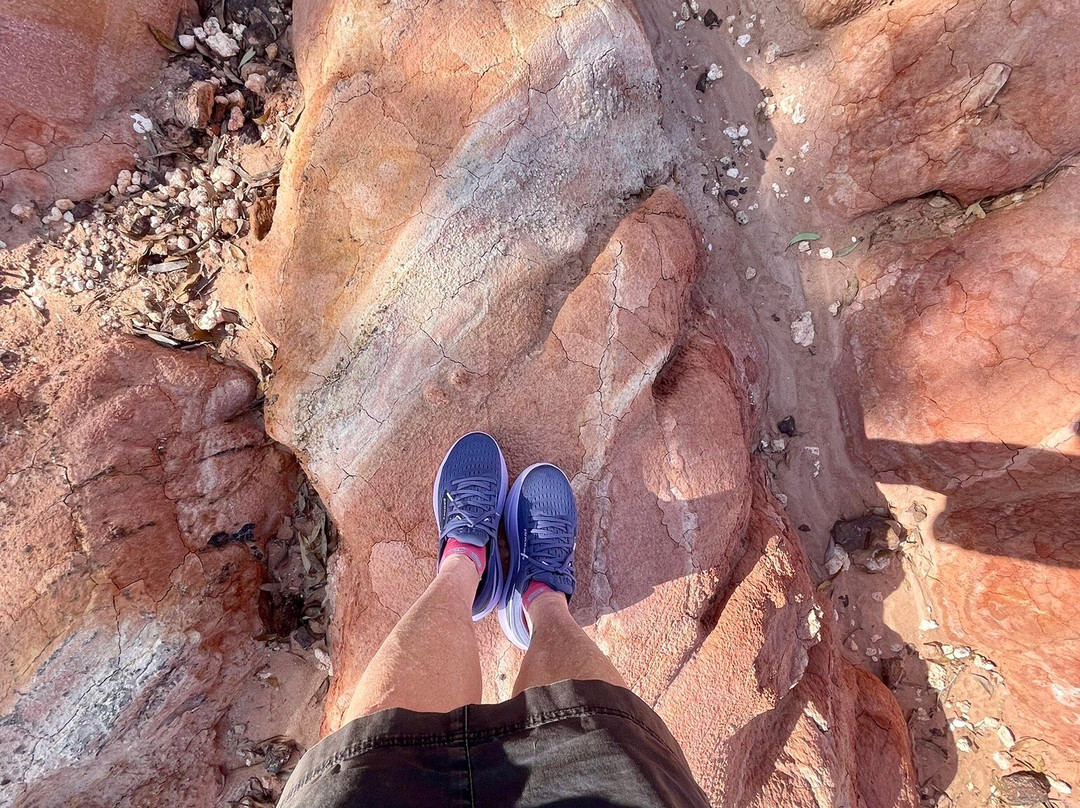 Pink Cliffs-Heathcote必去景点