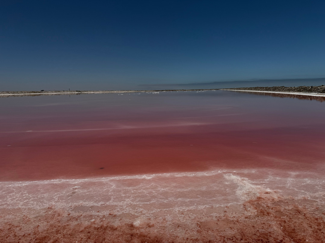 Desert Dunes & Dust Tours-斯瓦科普蒙德必去景点